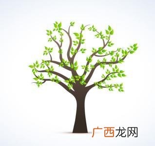 描写树木的词语,形容树的词？