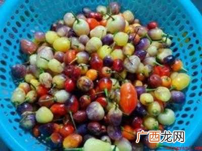 七彩泡椒怎么做又脆又好吃