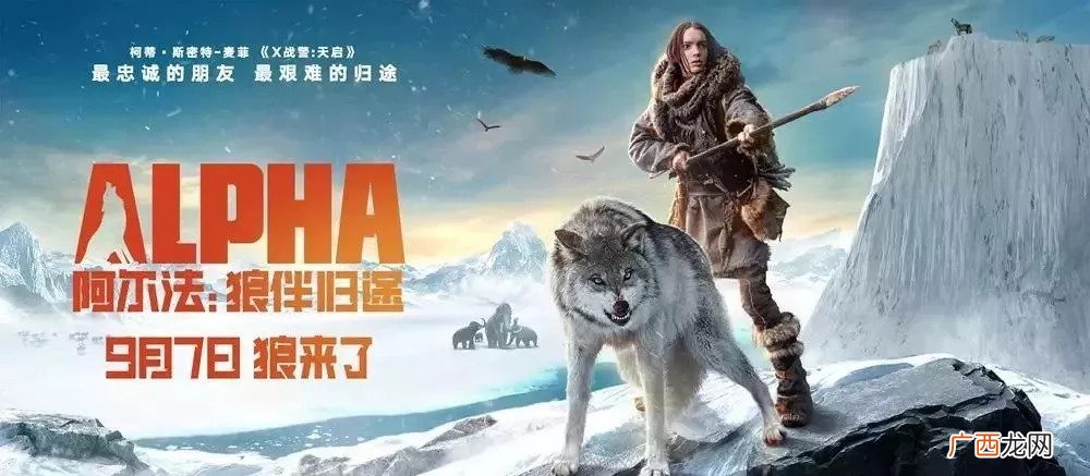 阿尔法狼伴归途结局是什么,黑白大搏斗大结局是什么，大结局，人物最终结局？