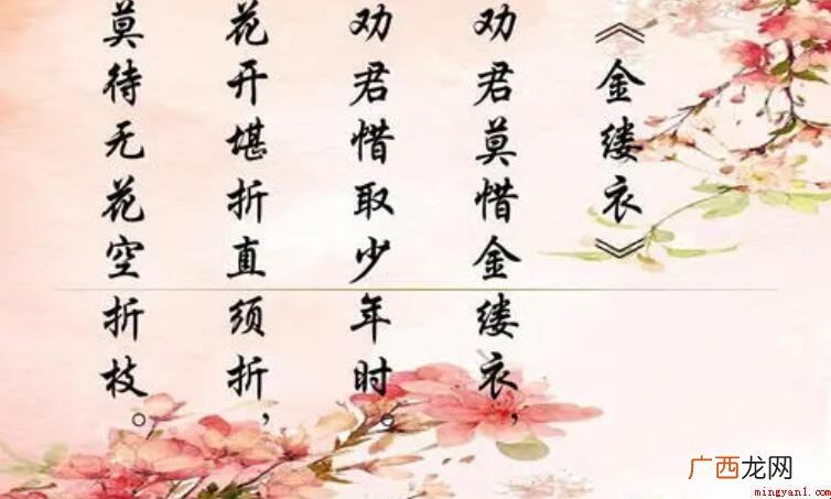 《金缕衣》的创作背景是什么