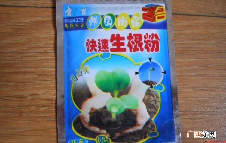 生根粉可以浇土里吗