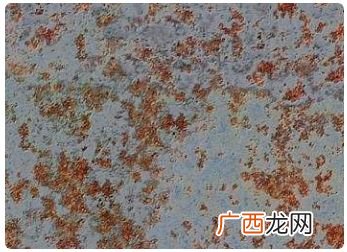 铁锈怎么去除,怎样快速去除铁锈？
