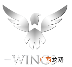 为什么wings夺冠会这么火,wings战队为什么是传奇?
