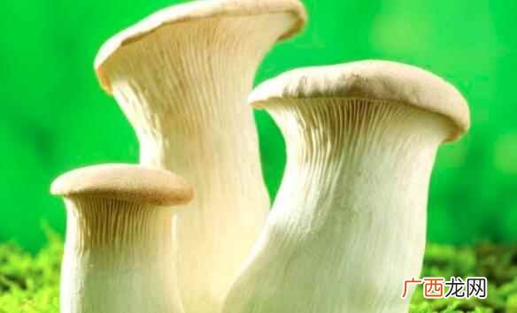 痛风可以吃杏鲍菇吗