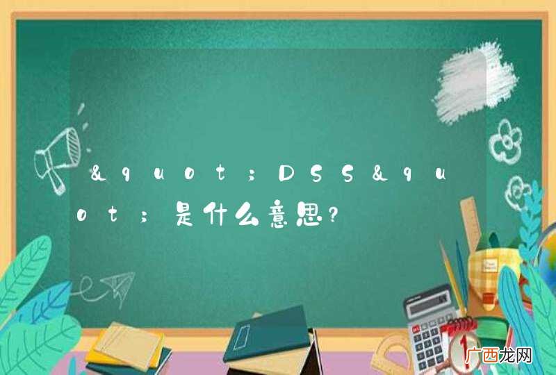 "DSS"是什么意思?