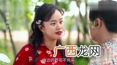 俺娘田小草喜凤结局,关中匪事罗玉璋夜闯喜凤结局？
