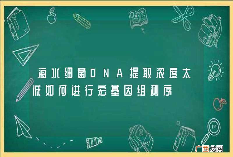 海水细菌DNA提取浓度太低如何进行宏基因组测序