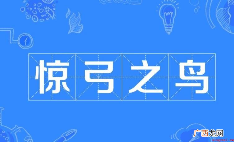 惊弓之鸟的鸟是指什么
