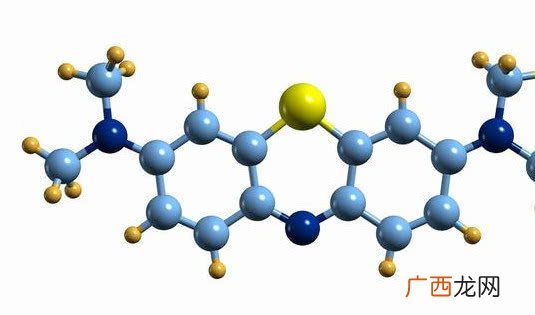 图文 什么是单细胞生物,什么是单细胞植物？