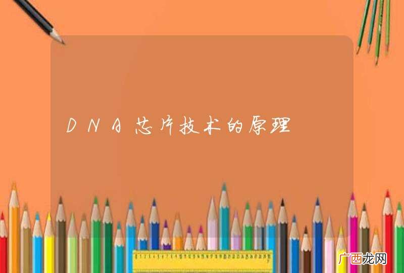 DNA芯片技术的原理