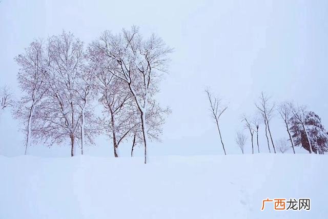 南京下雪什么时候,南京的冬天会下雪吗？