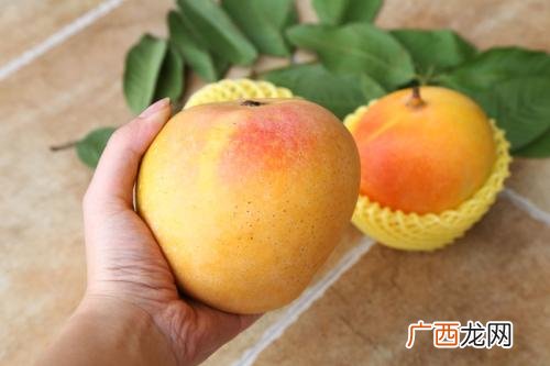 苹果芒什么颜色是熟了,青芒成熟时果肉是什么颜色？