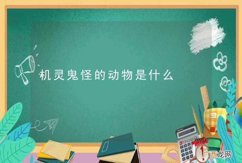 机灵鬼怪的动物是什么