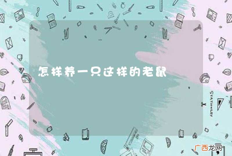 怎样养一只这样的老鼠