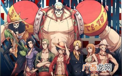 海贼王人物介绍,海贼王九人组人物名字？