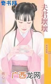 典心的小说有哪些,典心所有的小说都有什么？