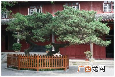 法雨寺在哪法雨寺位置,雨法寺介绍？