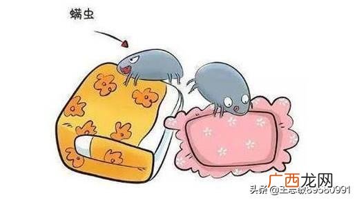 怎么去螨虫,螨虫怎么去除简单方法，去螨虫的最有效方法是什么？