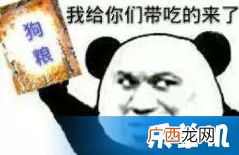 狗粮是什么意思,狗粮是什么意思？