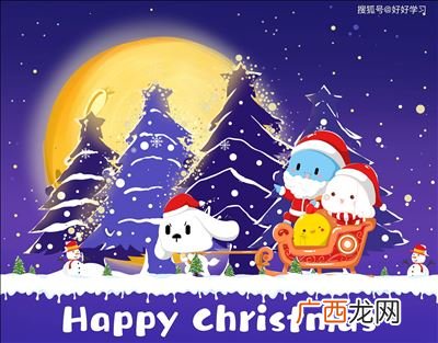 圣诞节的传统风俗是什么,圣诞节什么时候才有？
