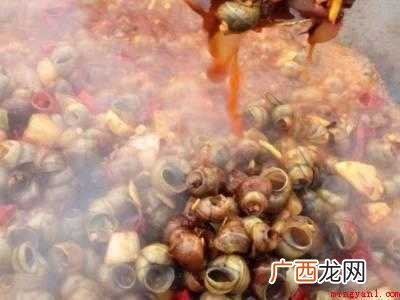 丝螺怎么吃