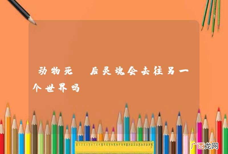 动物死亡后灵魂会去往另一个世界吗？
