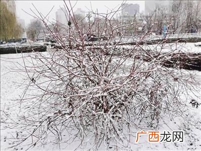 居高临下是什么意思,居高临下的意思相近的成语有哪些？