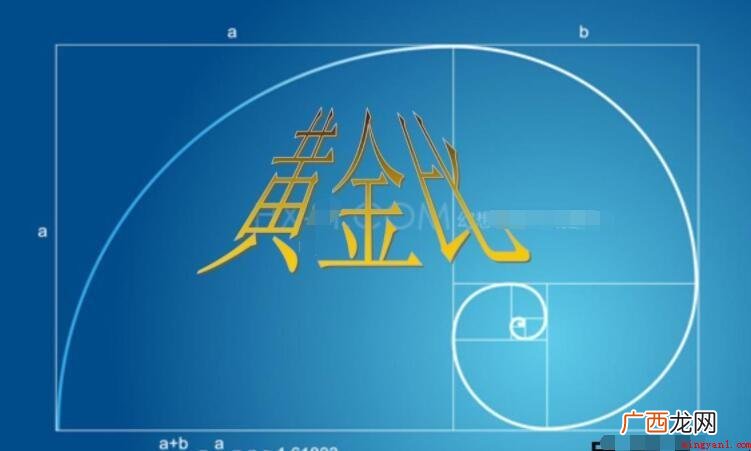 黄金比例是几比几