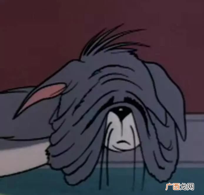 网络语five什么意思,5454什么意思？