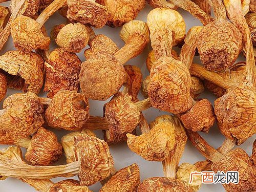 干松茸怎么吃最好,干松茸时间长了还能吃吗？