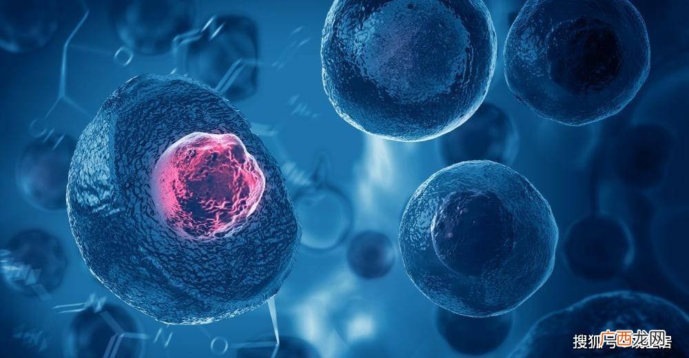 硅基生物是指什么,蛙基生物是什么？