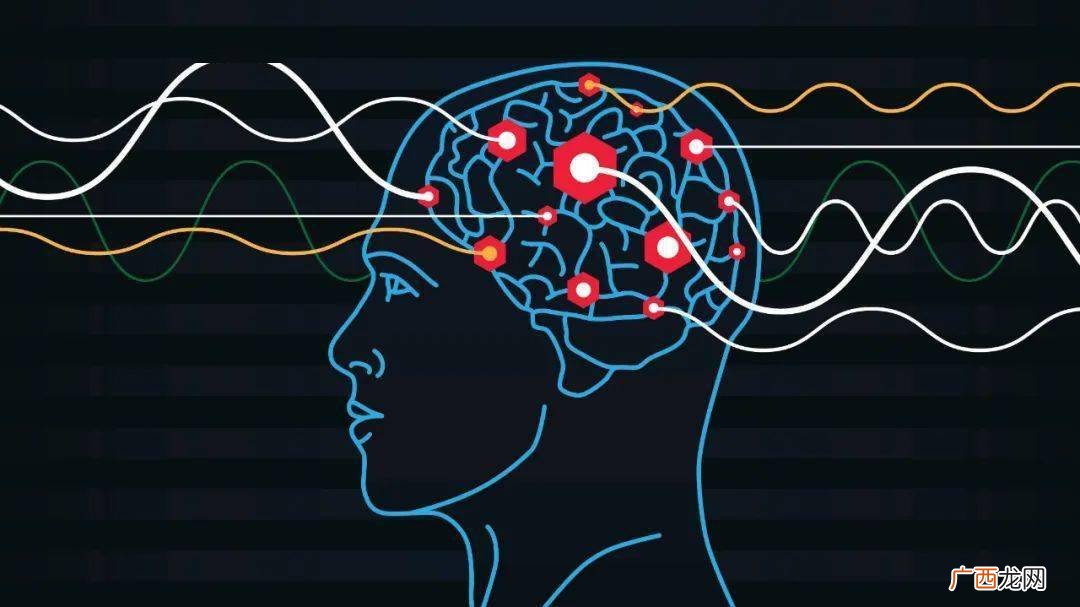 人类的形成,人类出现多少年？