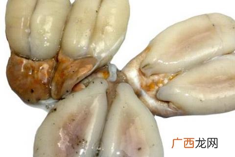 墨鱼蛋是什么部位,请问墨鱼头里的圆蛋一样的东西能吃吗？