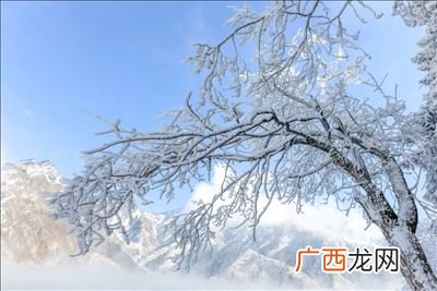 从军北征意思,从军北征是爱国诗吗？