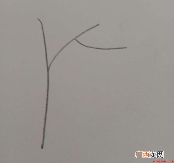 银杏树简笔画怎么画