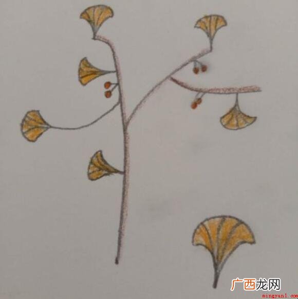 银杏树简笔画怎么画