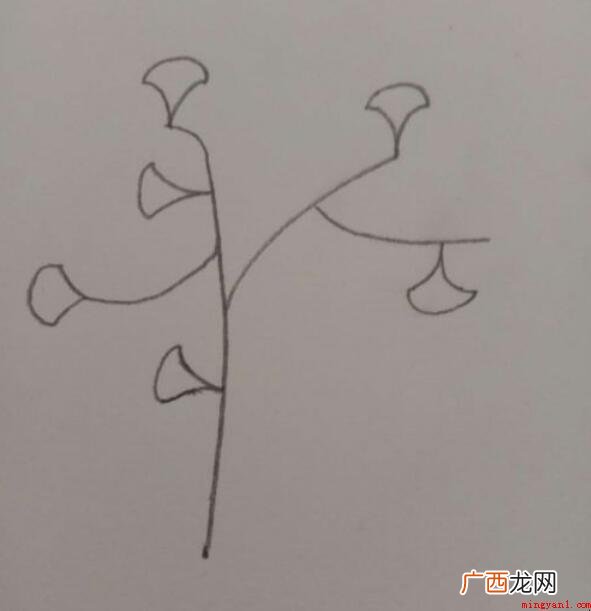 银杏树简笔画怎么画