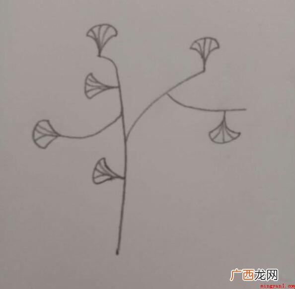 银杏树简笔画怎么画