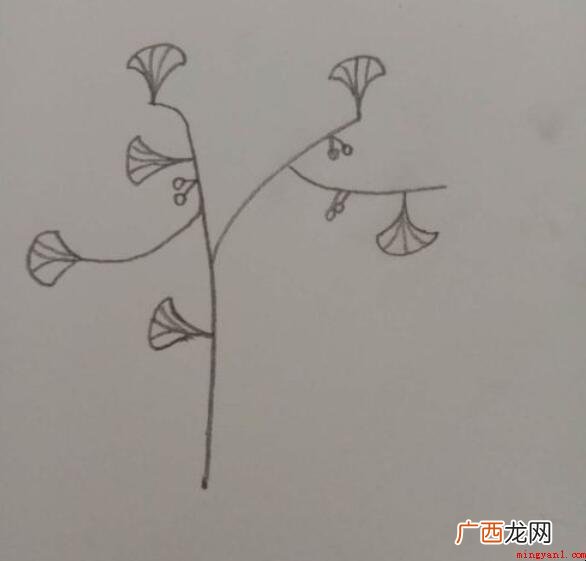 银杏树简笔画怎么画