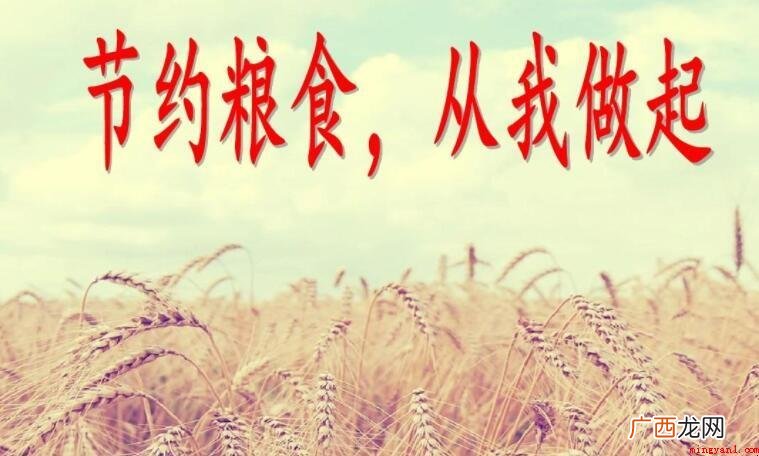 节约粮食的名言有哪些