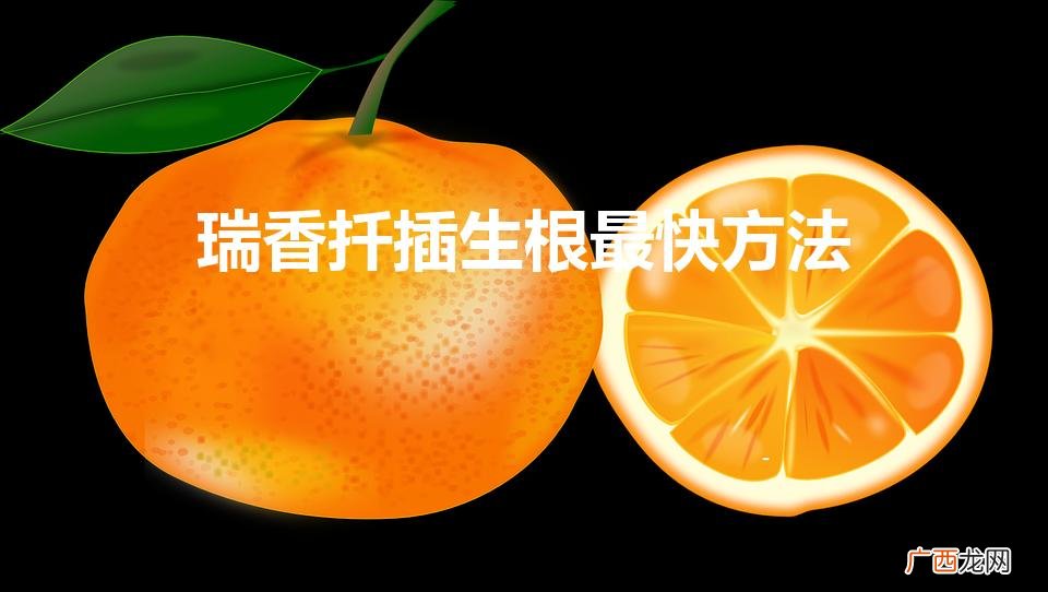 瑞香扦插生根最快方法（为什么家中不能养瑞香花)
