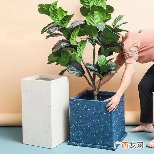 家里养花镁泥花盆的简单制作方法 镁泥花盆优缺点是什么
