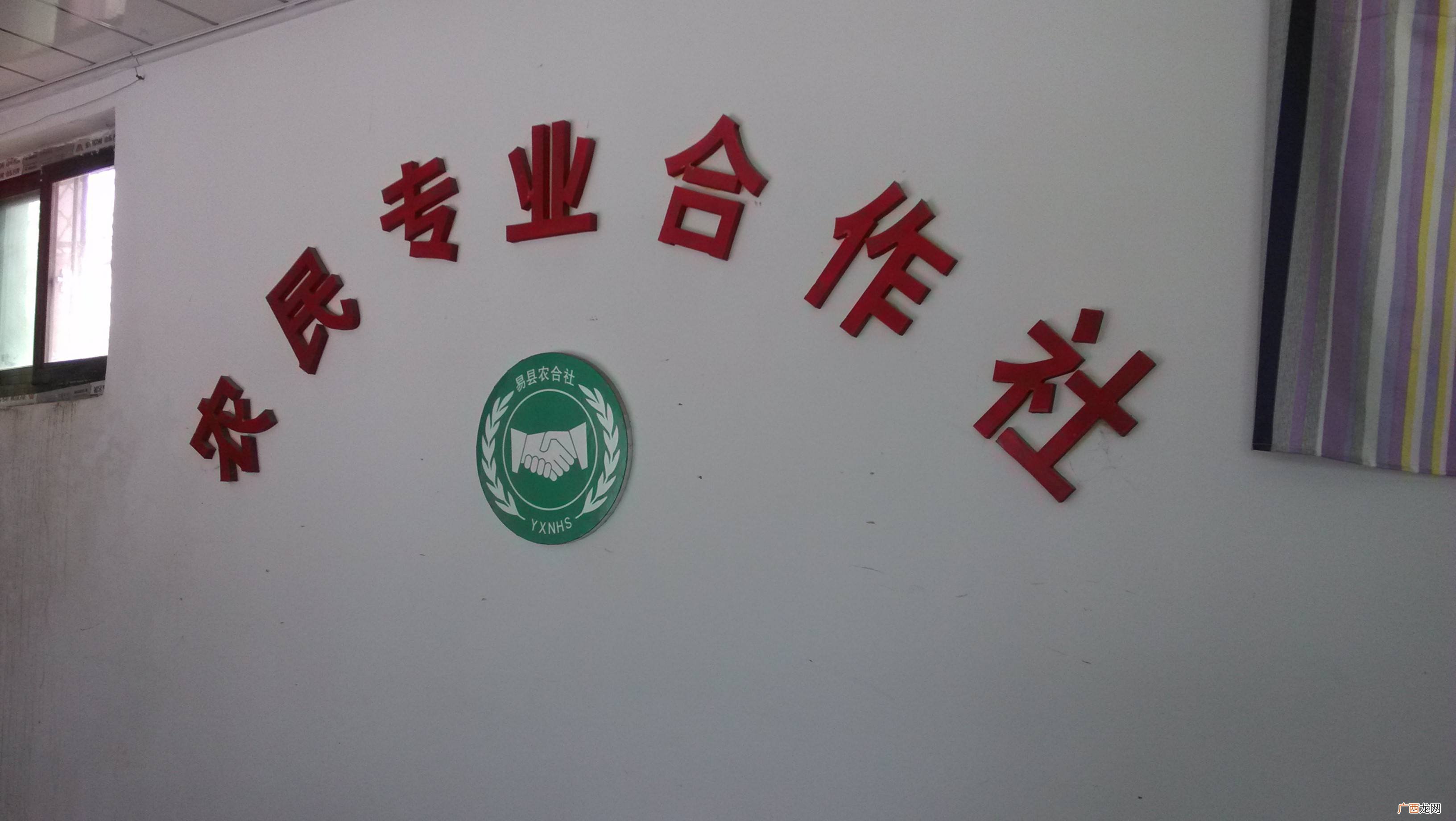 专业合作社属于什么类型企业,农村专业合作社经济组织主要是？