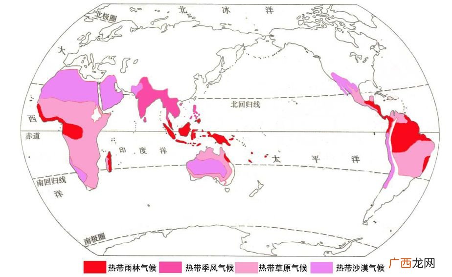 热带雨林气候特点是什么,12个气候区的自然特征？
