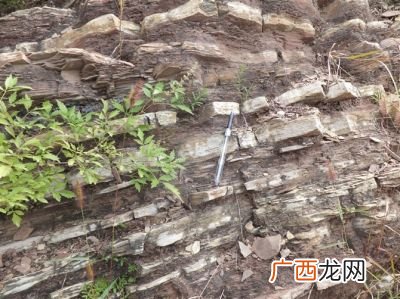 流纹岩属于什么岩石,流纹岩的主要矿物和次要矿物？