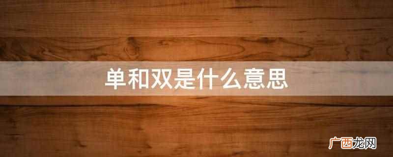 单和双是什么意思