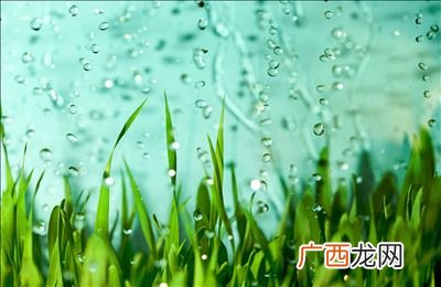 什么是时令节气,时令节气啥意思？