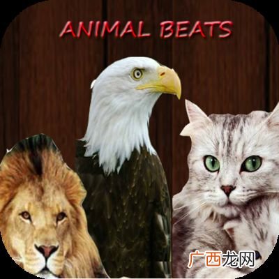 cluck是什么动物的声音,动物叫声的英语象声词？
