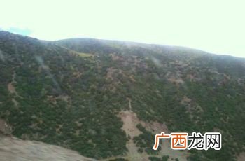 桃花洞是什么地方,分宜有哪些地方好玩？