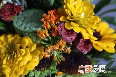 中国国花是什么,中国五大国花？
